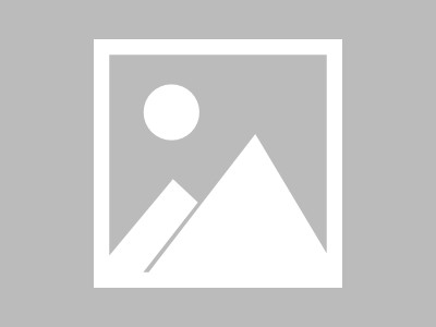 金融与国际商务，探索未来商业创新的新机遇